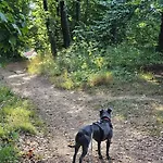 Ferienoase Weitblick