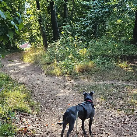 Apartmán Ferienoase Weitblick