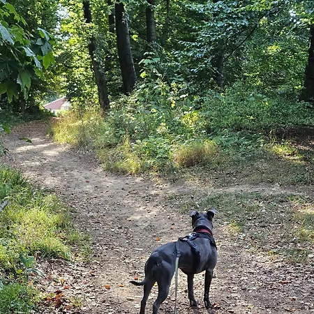 Ferienoase Weitblick
